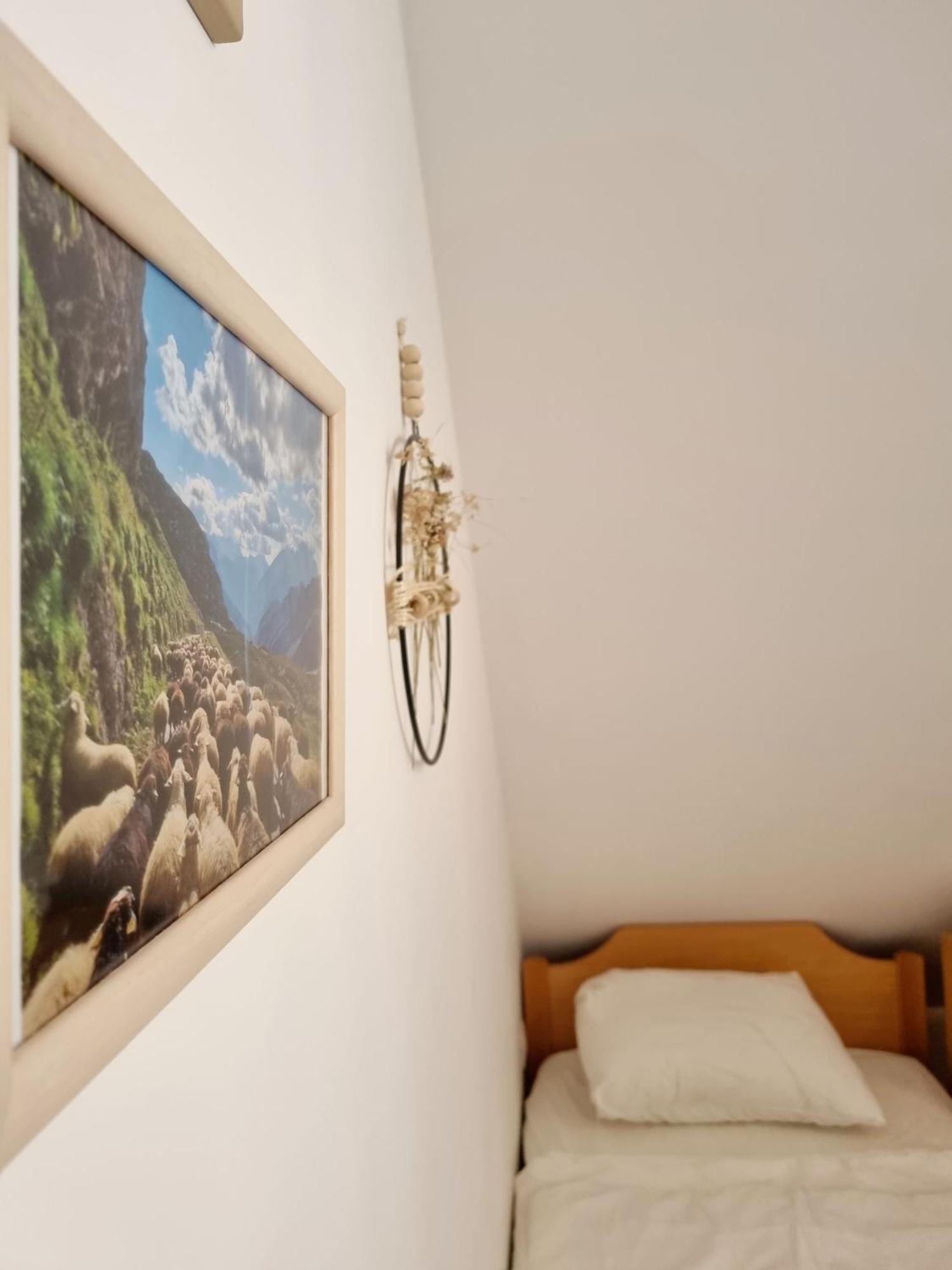 Apartmaji Pri Ticelnu โบเว็ก ภายนอก รูปภาพ